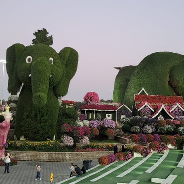 Dubai Miracle Garden