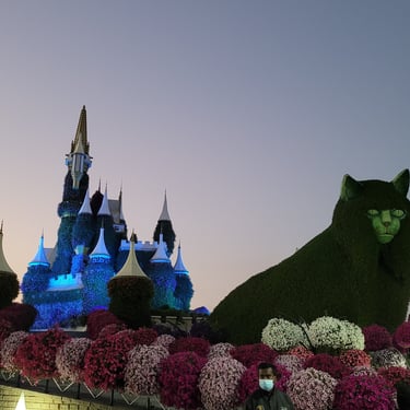 Dubai Miracle Garden