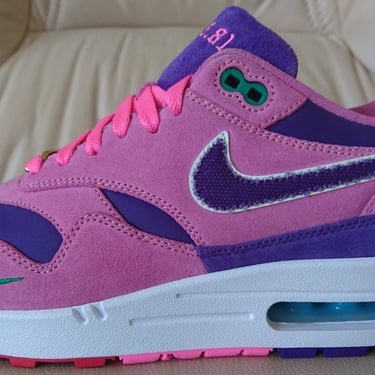 Nike Air Max 1 Bespoke 'Family'