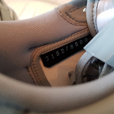 Air Jordan 1 Low 'Dior'