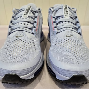 Nike Pegasus Premium 'Persian Violet'