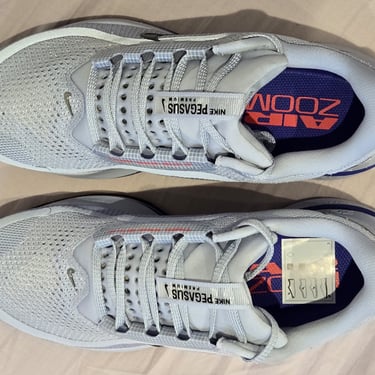 Nike Pegasus Premium 'Persian Violet'