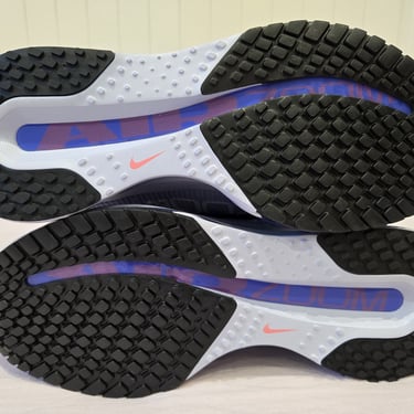 Nike Pegasus Premium 'Persian Violet'