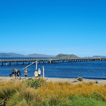 Petone Wharf, 2023.