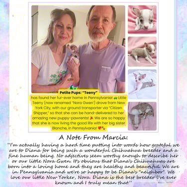 Past “Petite Pups” Puppies With Their New Owners + 5 Star Customer Reviews!