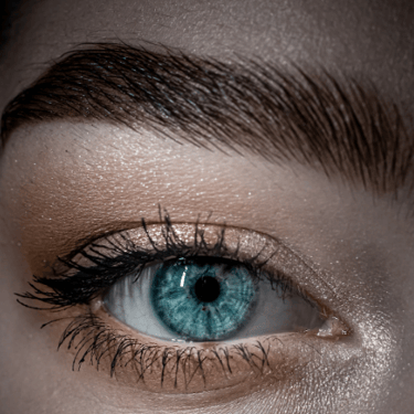 close up of eye with a beautifully laminated brow