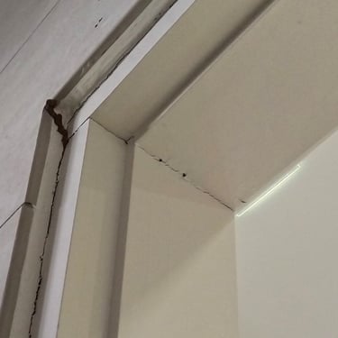 an inactive termite mud trail on a door frame