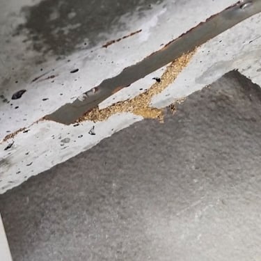 an inactive termite mud trail under a kitchen stove
