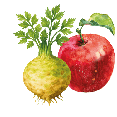 ein roter Apfel und eine Sellerieknolle