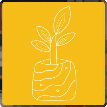 CV writing package - Starter