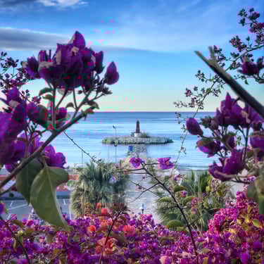 Villajoyosa lighthouse with bouganvilla flowers
