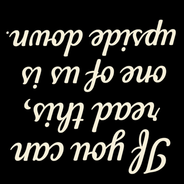 Upside-down funny shirt text that reads “If you can read this, one of us is upside down.”