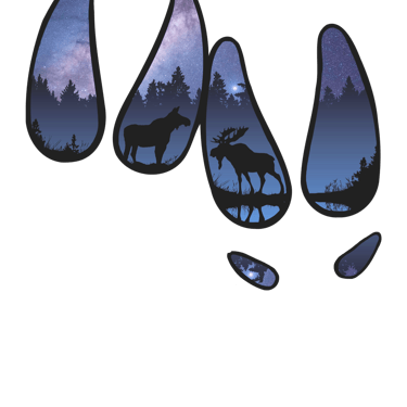 a moose and a moose in the woods