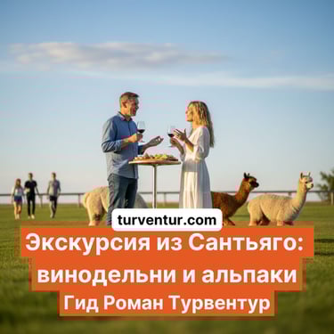 Экскурсия вокруг Сантьяго с русским гидом винодельни и альпаковая февра - Роман Турвентур