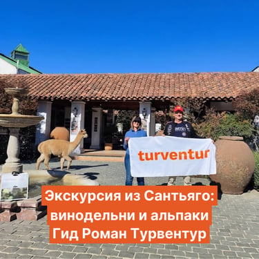 Экскурсия вокруг Сантьяго с русским гидом винодельни и альпаковая февра - Роман Турвентур