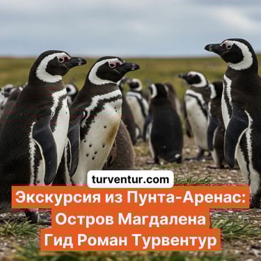 Экскурсия круиз к пингвинам острова Магдалена в Пунта-Аренас с русским гидом Роман Турвентур