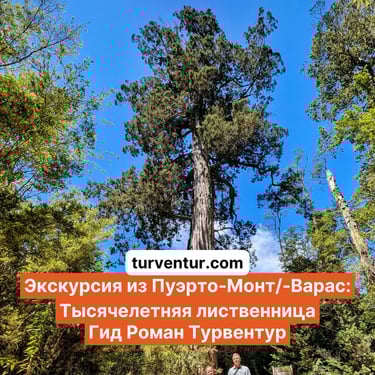 Экскурсия лес Лауен Ньяди с русским гидом Роман Турвентур