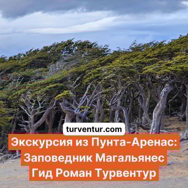 Экскурсия заповедник Магеллана в Пунта-Аренас с русским гидом Роман Турвентур