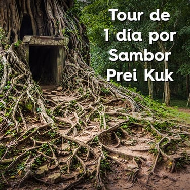 Tour Sambor Prei Kuk