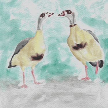 watercolor painting of two geese
