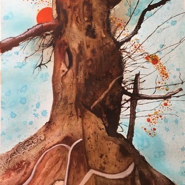 Ceiba