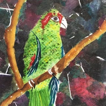 El  Yunque Parrot
