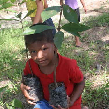 Kid with seedling. Terra Forest