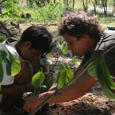 Planting trees in the Amazon. Terra Forest