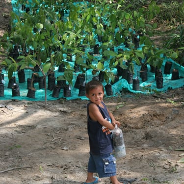 Kid with seedlings. 