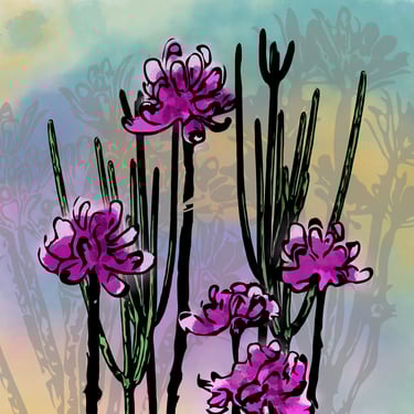 Desert Bloom Digital Art