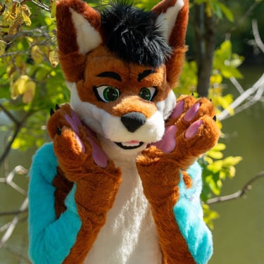 Avitus the fox fursuit posing with hand paws next to fursuit head made by Teto Creations