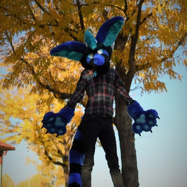 Blue and black dutch ange dragon fursuit madt by Teto Creations 