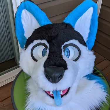 This is blue a dog fursuit made by Teto creations with blue ears and black fur on his face