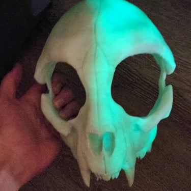 A cat skull mask 3d-printed by Teto Creations