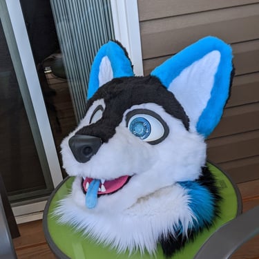This is blue a dog fursuit made by Teto creations with blue ears and black fur on his face