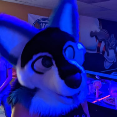 This is blue a dog fursuit made by Teto creations with blue ears and black fur on his face