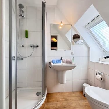 Hotel DunenNest - Kleine Suite, Badezimmer, Dusche/WC, Dachfenster