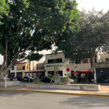 Street with a house and a tree