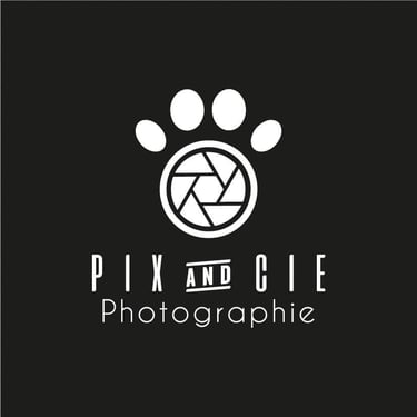 logo-pixetcie-strasdog