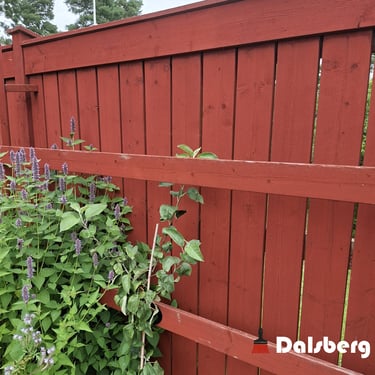 cloture peinte avec de la peinture écologique