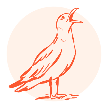 seagull line drawing