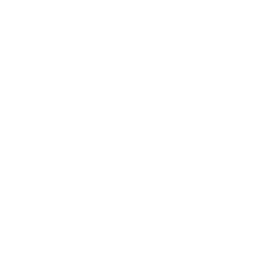 snapchat: customs.03
