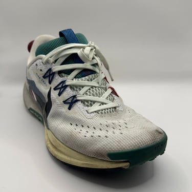 KicksReboot carried out a deep cleaning of Nike Pegasus Trail, photo taken before the process
