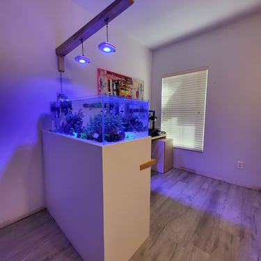 Picture of aquarium stand design by White and Wood Custom Carpentry in Orlando Florida