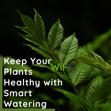 auto watering device