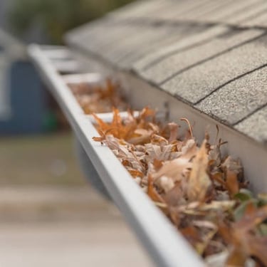 A gutter full of leaves that have clogged the gutter system