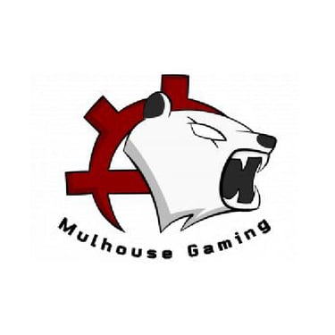 Mulhouse Gaming, structure partenaire du Grand Est