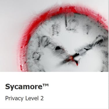 Sycamore