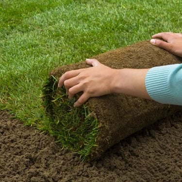 Lush Premium Mexican Lawn Grass installation by FM Landscaping in Bangalore