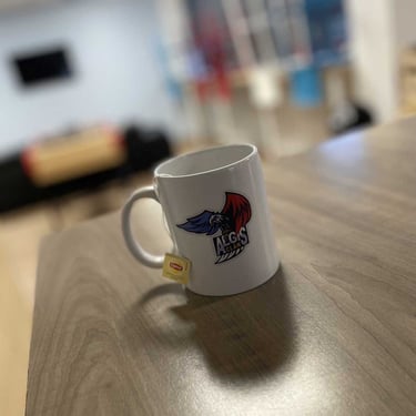 Clan Aegis France Mug